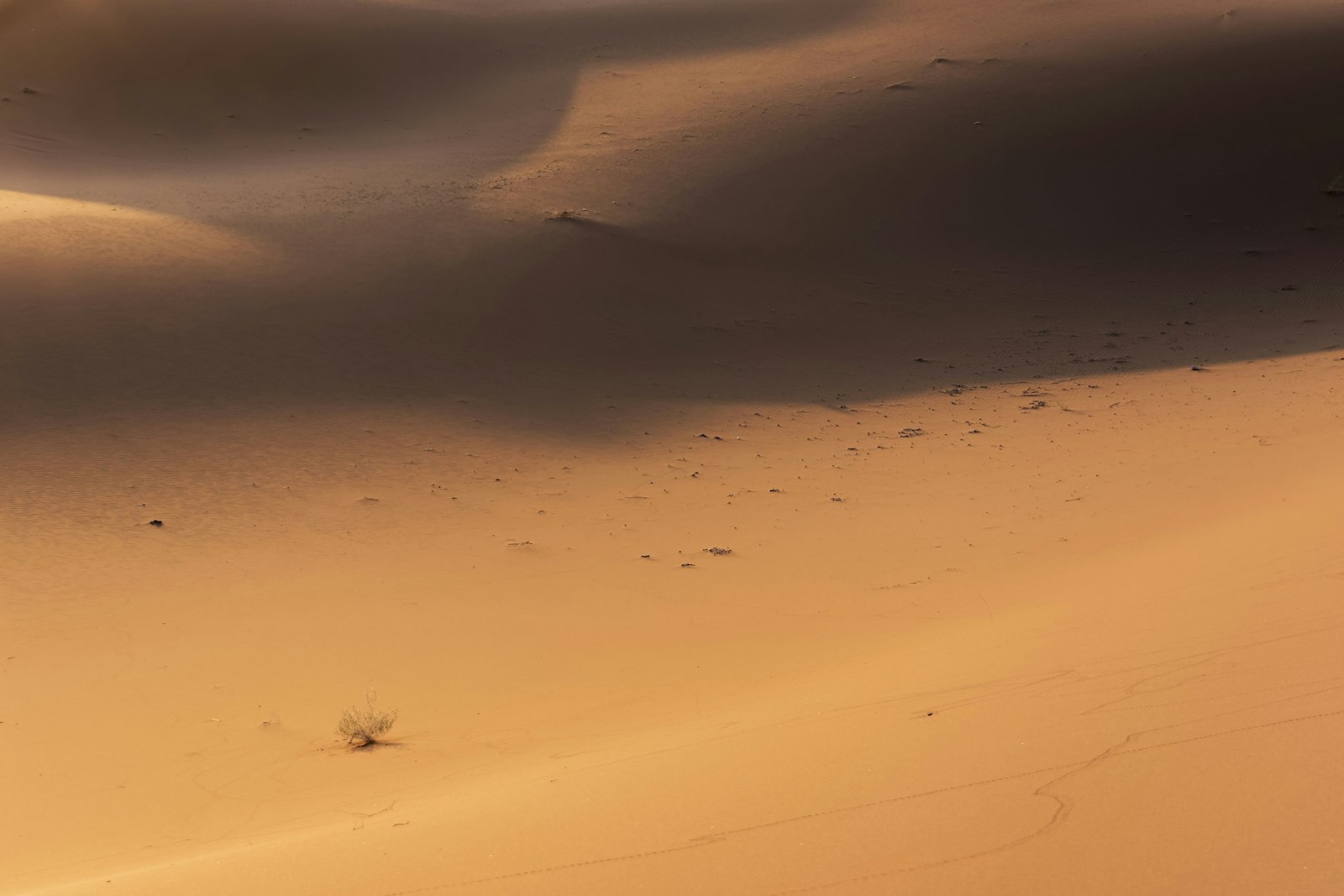 Atmosphères du Sahara